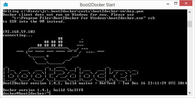 boot2docker init